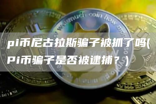 pi币尼古拉斯骗子被抓了吗 - Pi币骗子是否被逮捕？
